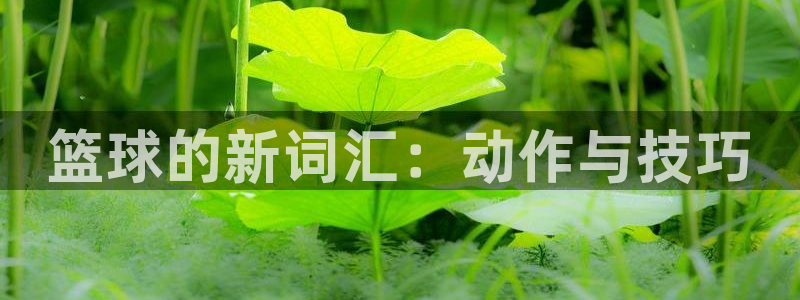 凯发官网下载招商电话号码是多少:篮球的新词汇:动作与技巧